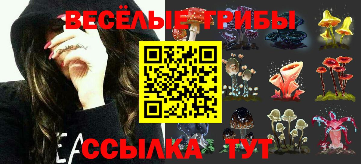Галлюциногенные грибы Psilocybe Лысьва
